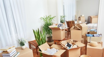 Photo of Moving Solutions