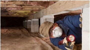 universal pest & termite