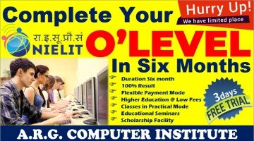 arg computer institute